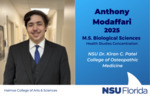Anthony Modaffari by Anthony Modaffari