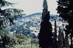 View of Fiesole from church of San Fancesco, showing compoute of Donomo (1213) by James Doan