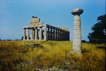 The Temple of Athena, Paestum, the so-called Temple of Ceres, c. 530- CE by James Doan