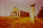Paestum. The Temple of Ceres by James Doan