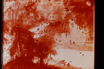 "Réunion de poétes, au Pavillon des Orchidées", Peinture á l'encre sur papier. 1945, Fou Pao0che (1904-1965), M.C. 8664 by James Doan