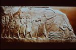 Assyrian hunting scenes, King and Elamite guests by James Doan