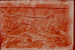 Assyrian hunting scenes, men catching onagers by James Doan