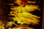 Botticelli, Primavera (detail), the three graces by James Doan