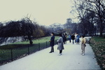 St. James' park, 1/4/85 by James Doan