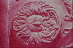Celtic head of Medusa or gorgon by James Doan
