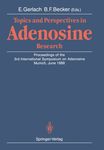 A critique of the use of adenosine deaminase to test the adenosine hypothesis: disregarded implicit assumptions by R Rubio, R M. Knabb, Stephen W. Ely, and R M. Berne