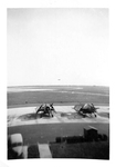 Avengers on Tarmac at the Ft. Lauderdale Naval Air Station by Courtesy of the Naval Air Station Fort Lauderdale Museum