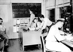 Sailors Working in an Office at the NASFL by Courtesy of the Naval Air Station Fort Lauderdale Museum