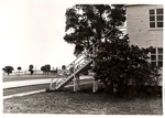 Stairs Leading up to the NASL Barracks by Courtesy of the Naval Air Station Fort Lauderdale Museum