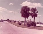 Road in Front of the Hollywood Fort Lauderdale Airport by Courtesy of the Naval Air Station Fort Lauderdale Museum