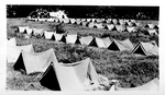 Pup Tents in Hawaii by Courtesy of the Naval Air Station Fort Lauderdale Museum