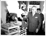 President Truman and the Turkeys by Courtesy of the Naval Air Station Fort Lauderdale Museum