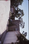 [CA.216] Harriet and Samuel Freeman Residence by Donald Zimmer