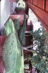 [CA.235] Jean S. and Paul Hanna Residence (Honeycomb House) by Donald Zimmer