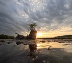 First Place Landscapes by Bryce C. Voss