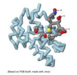 Investigating the Structure of Potential New Drug to Treat Sickle Cell Anemia through Inhibition of the Polymerization of Hemoglobin S​