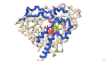 Identifying the Binding Residues on CYP3A4 to Naringin using Protein Modeling and Docking