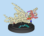 Modeling the Binding of Dendrin and PTPN14 to KIBRA by Aniruddh Mehra, Anna Maria Weber, and Chandralekha Sai Mekala